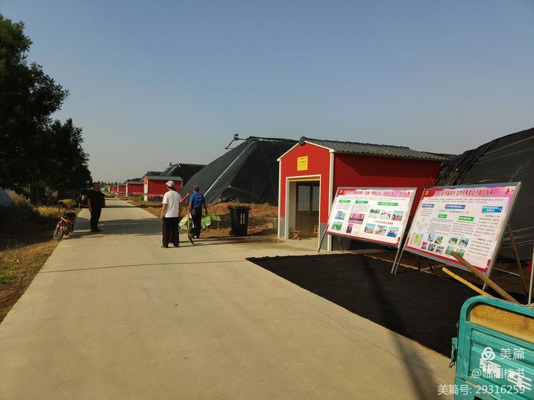 书尚鲁公，入古出新