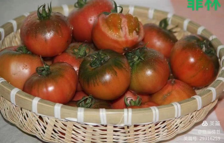 书尚鲁公，入古出新