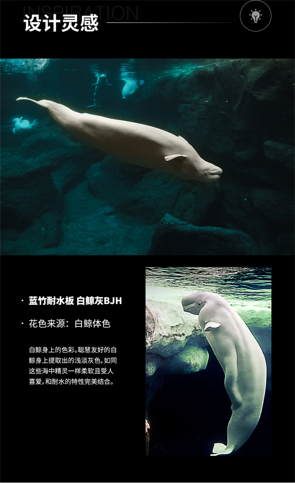 白鲸灰