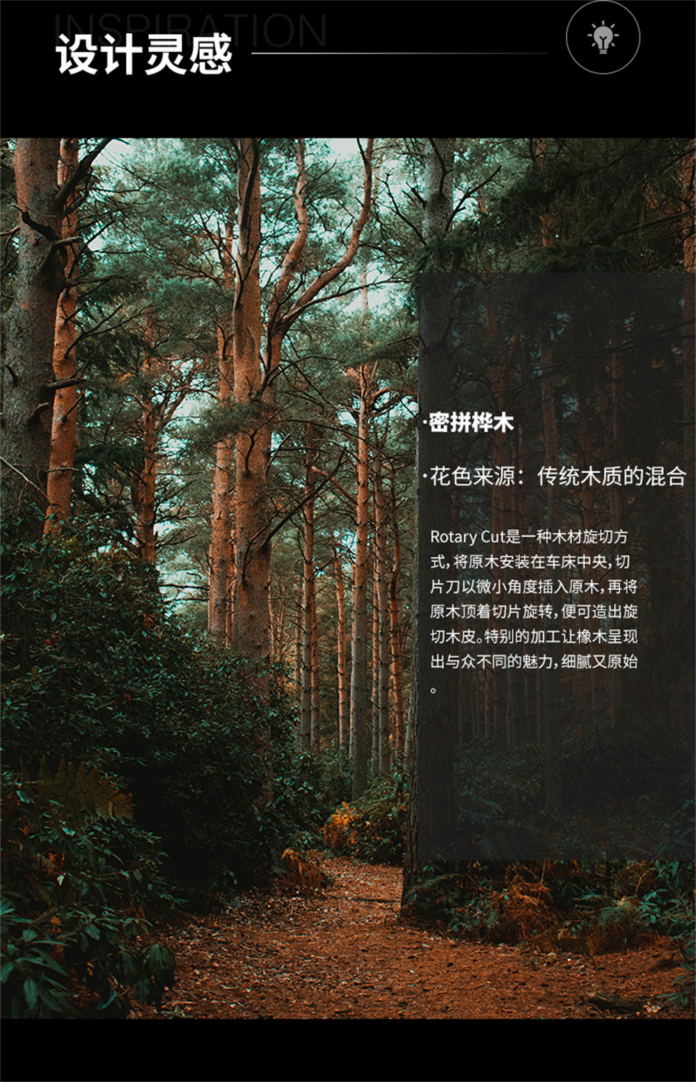 密拼桦木