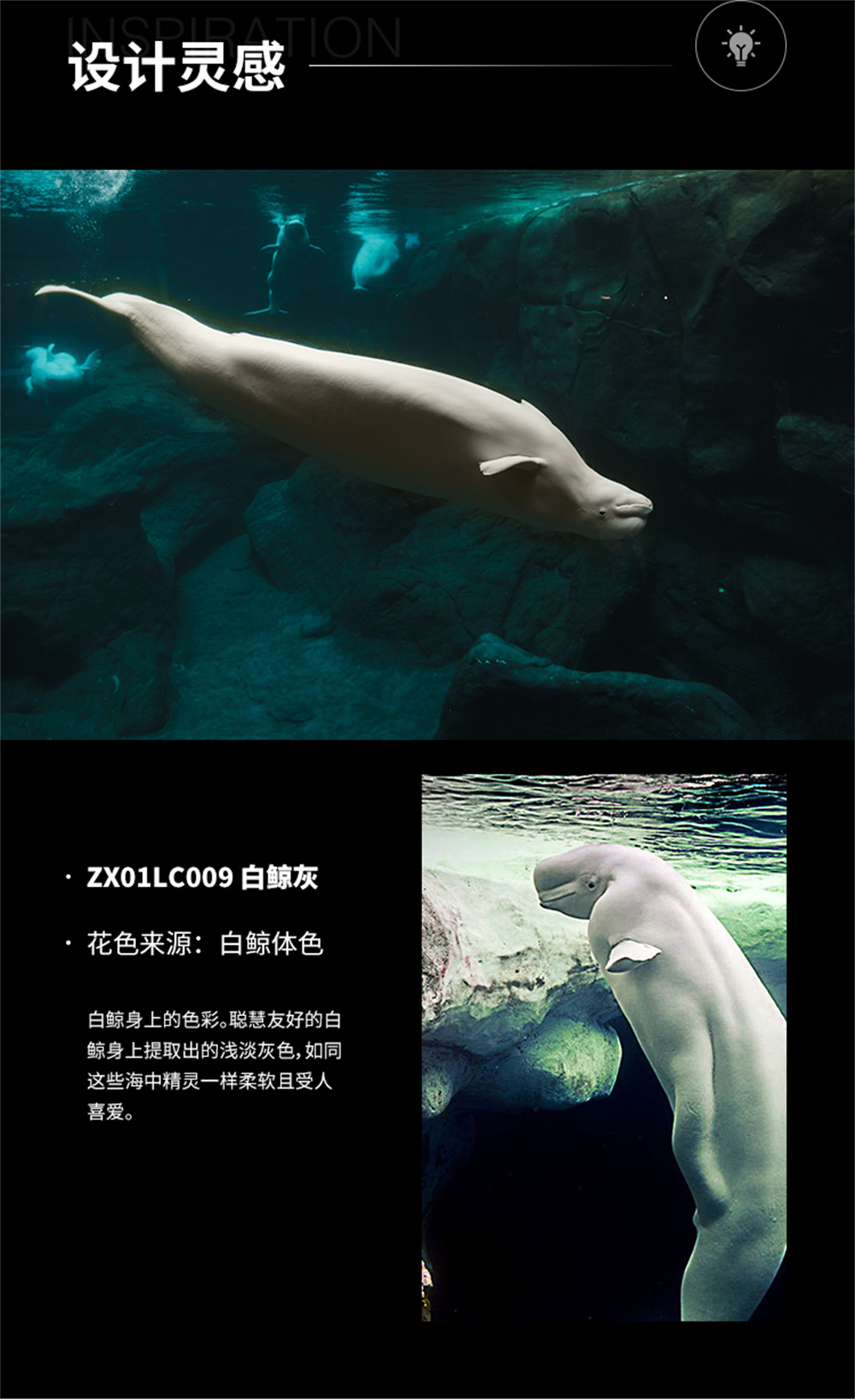 纯色-ZX01LC009 白鲸灰