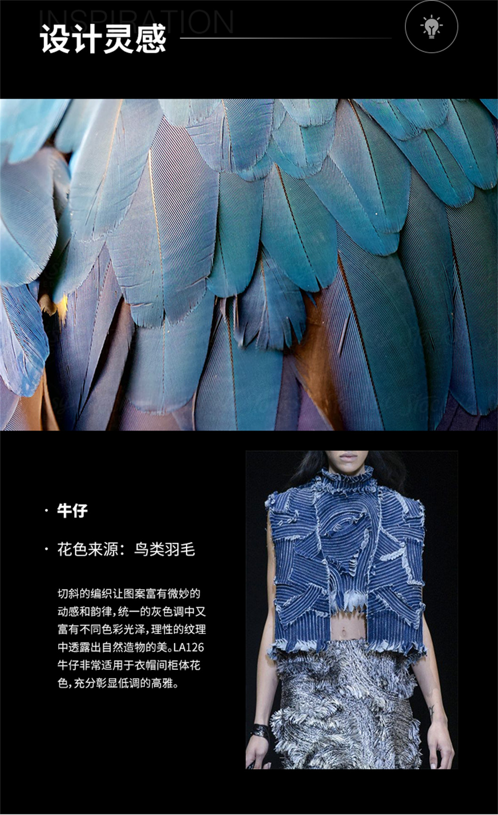 牛仔