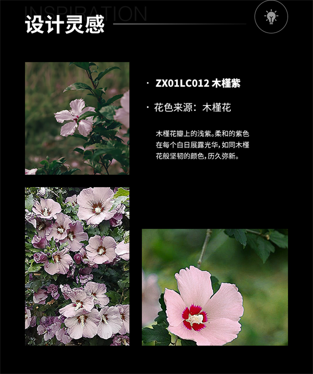 纯色-ZX01LC012 木槿紫