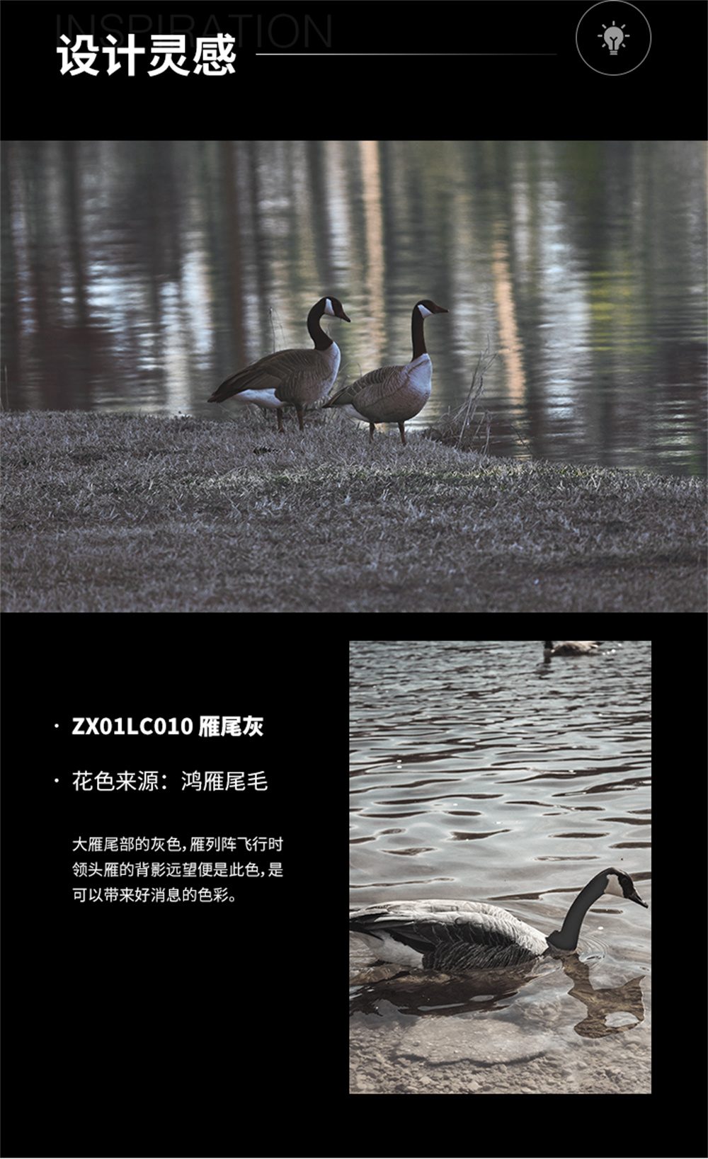 纯色-ZX01LC010 雁尾灰