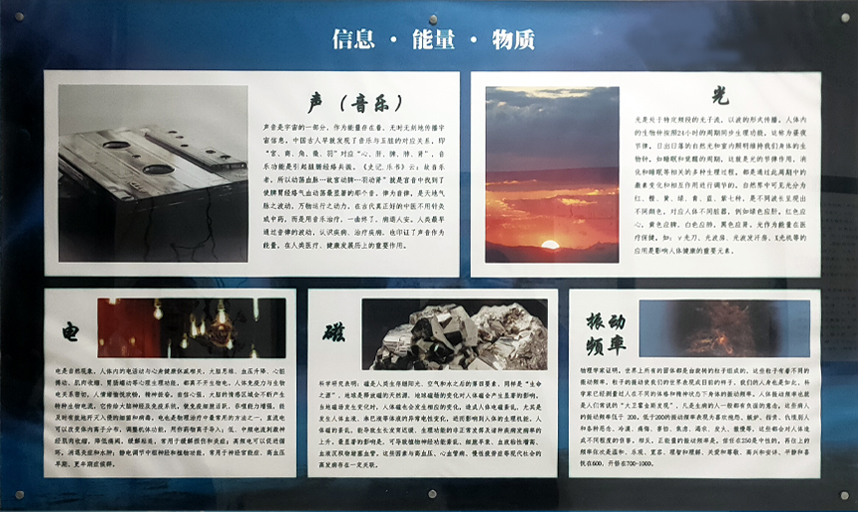智泉汇创仿生科技（威海）有限公司
