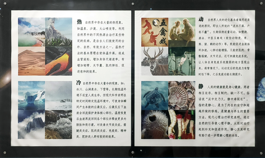 智泉汇创仿生科技（威海）有限公司