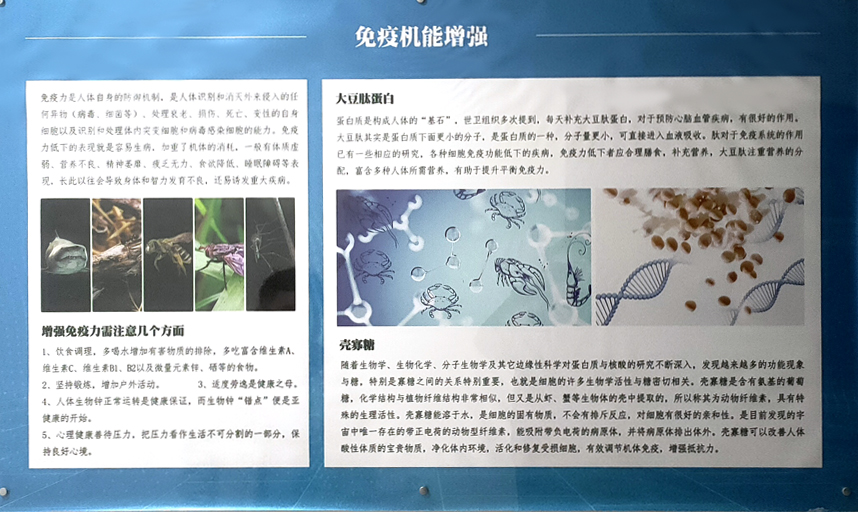 智泉汇创仿生科技（威海）有限公司