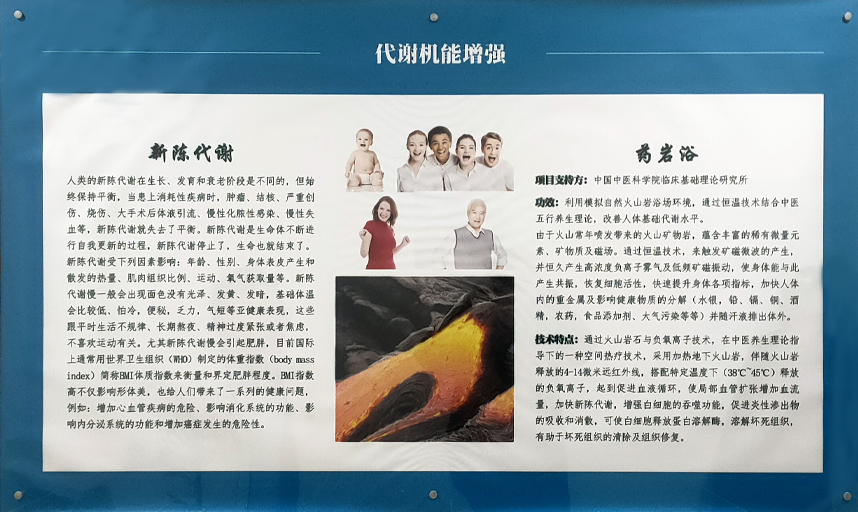 智泉汇创仿生科技（威海）有限公司