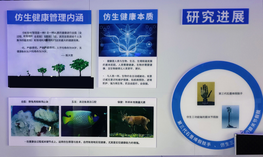 智泉汇创仿生科技（威海）有限公司