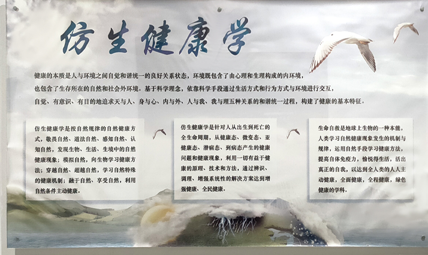 智泉汇创仿生科技（威海）有限公司