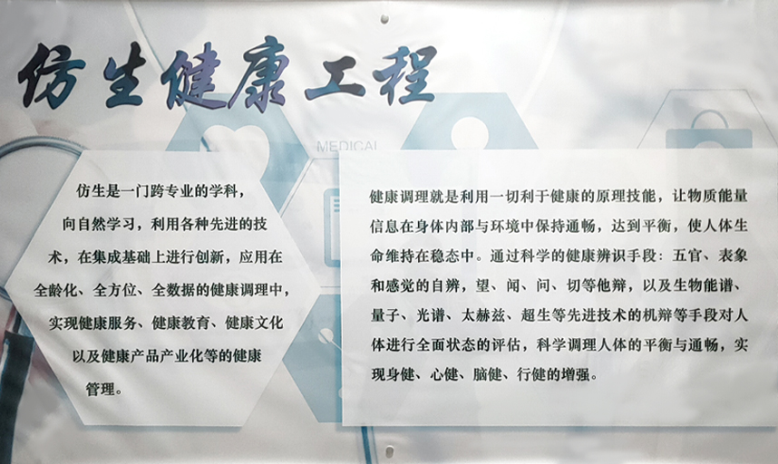 智泉汇创仿生科技（威海）有限公司