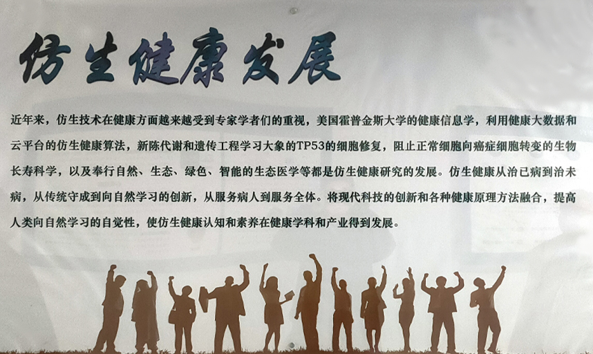 智泉汇创仿生科技（威海）有限公司