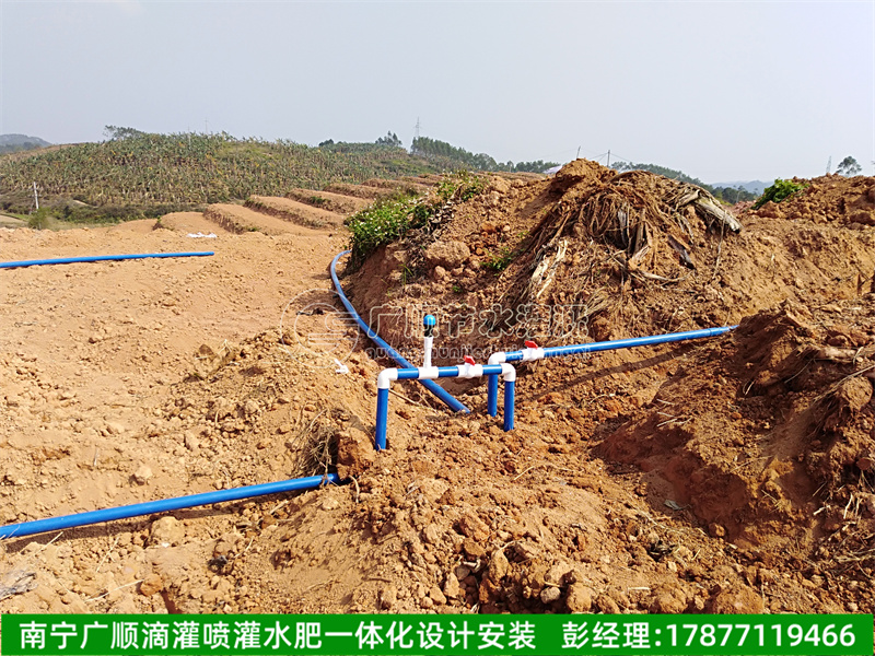 广西灌溉分区规划