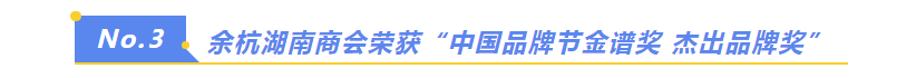 余杭湖南商会荣获“中国品牌节金谱奖 杰 出品牌奖”