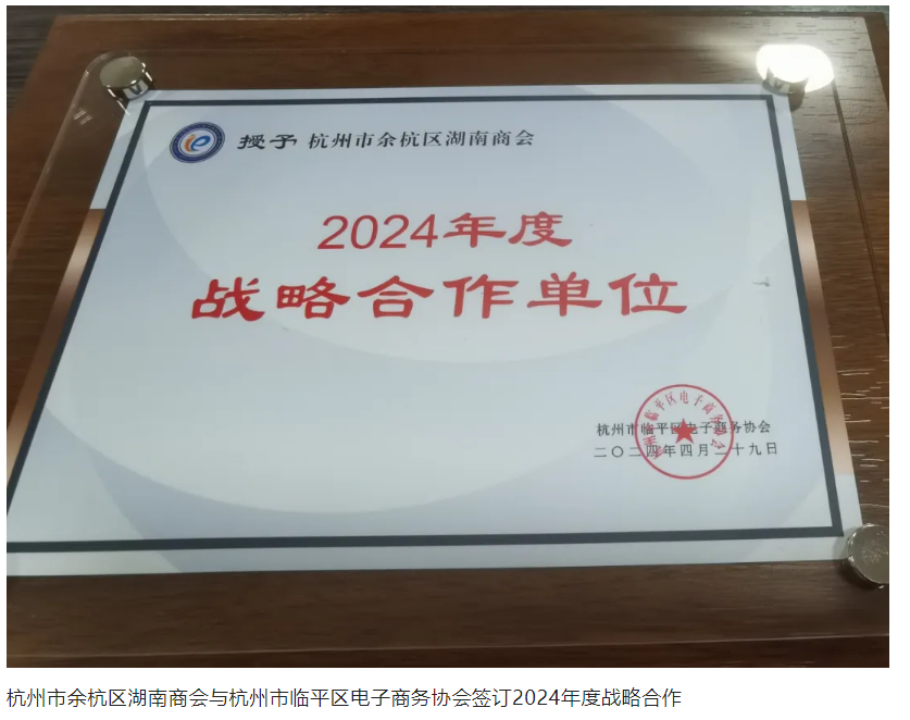 第六届中国·临平电子商务行业发展大会成功举办