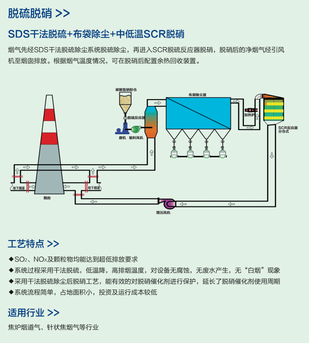 SDS干法脱硫+布袋除坐+中低温SCR脱硝