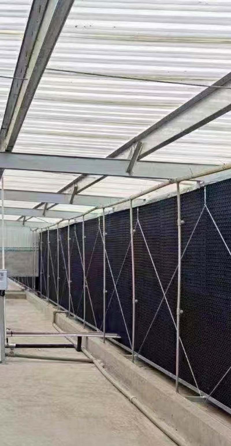 Maoxin Environmental protection