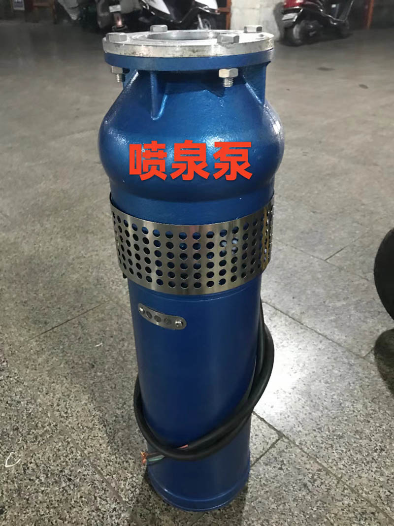 逢熙喷泉泵