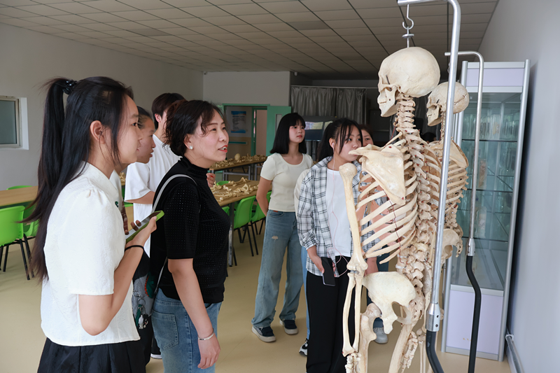 营口渤海卫生学校