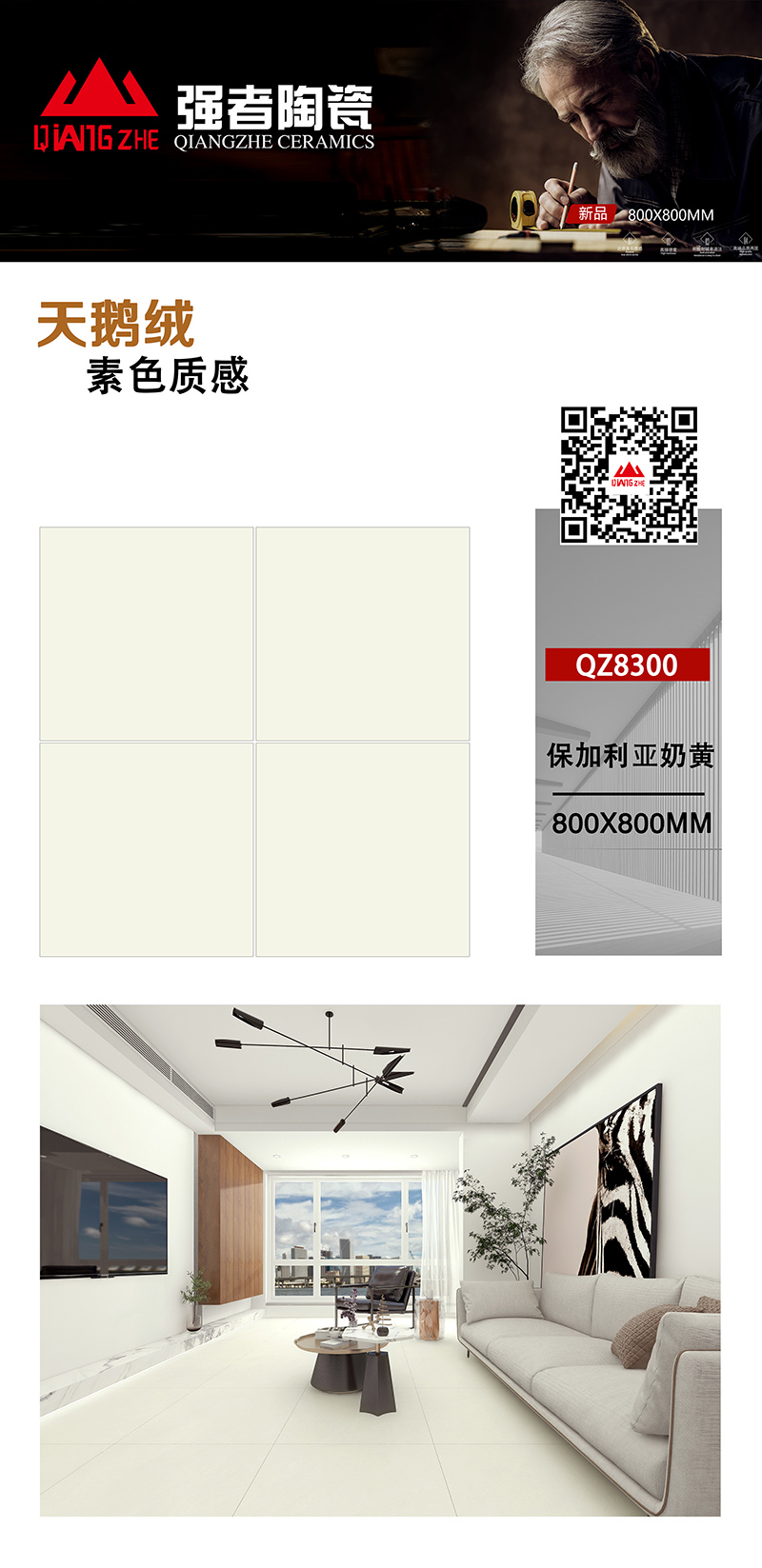 QZ8300