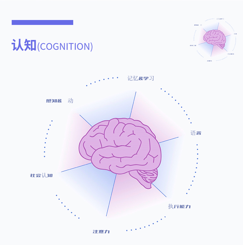 认知能力训练