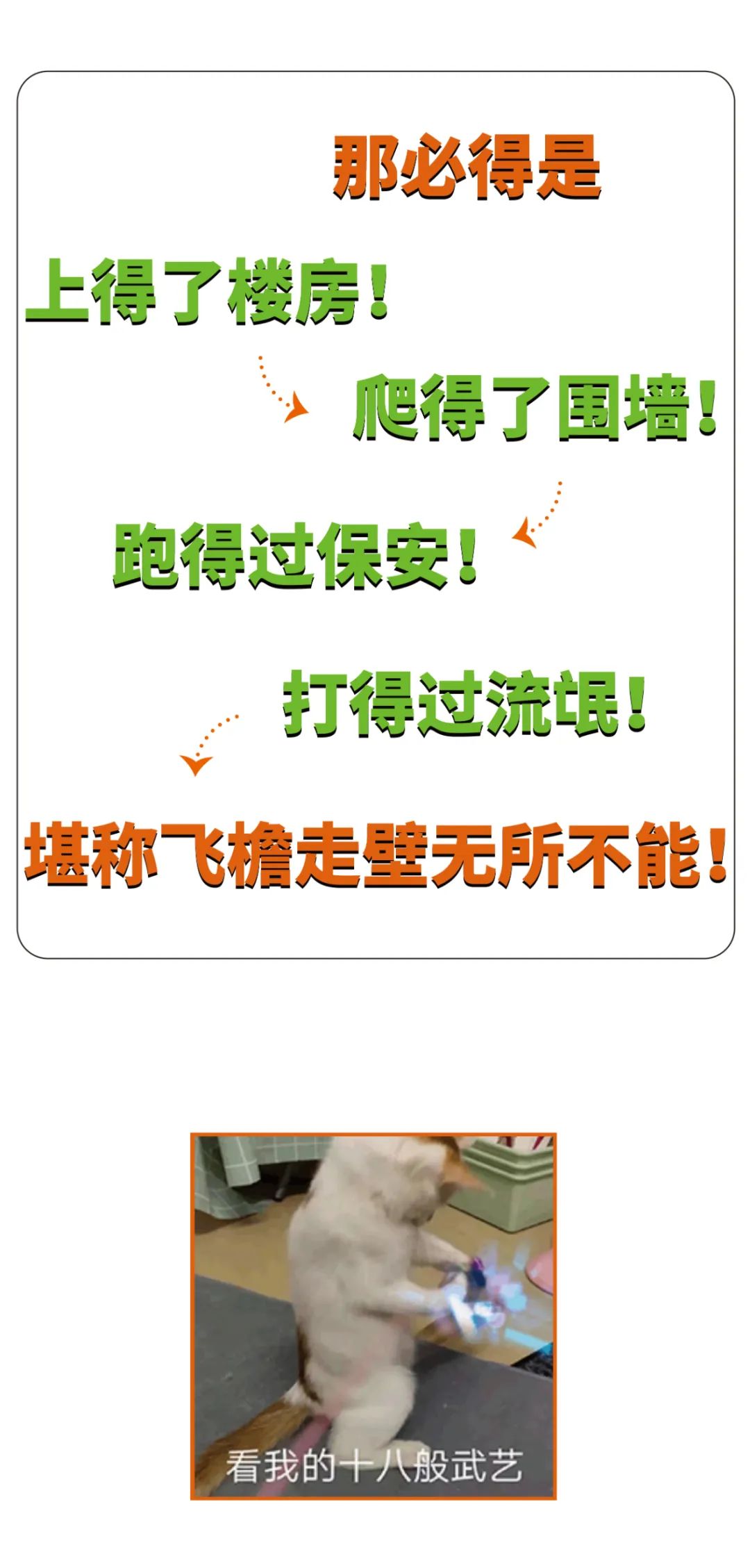 医疗建筑设计师