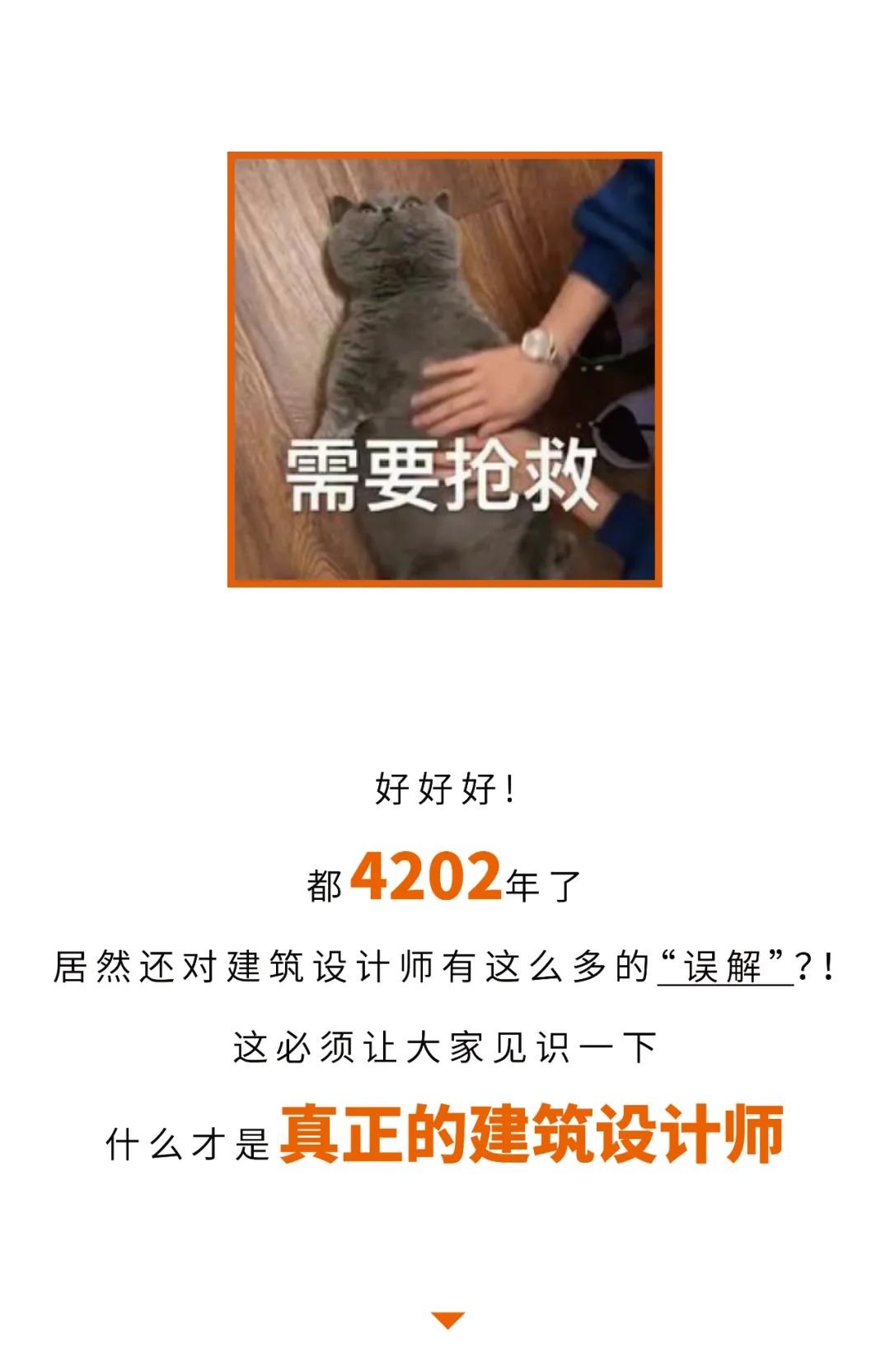 医疗建筑设计师