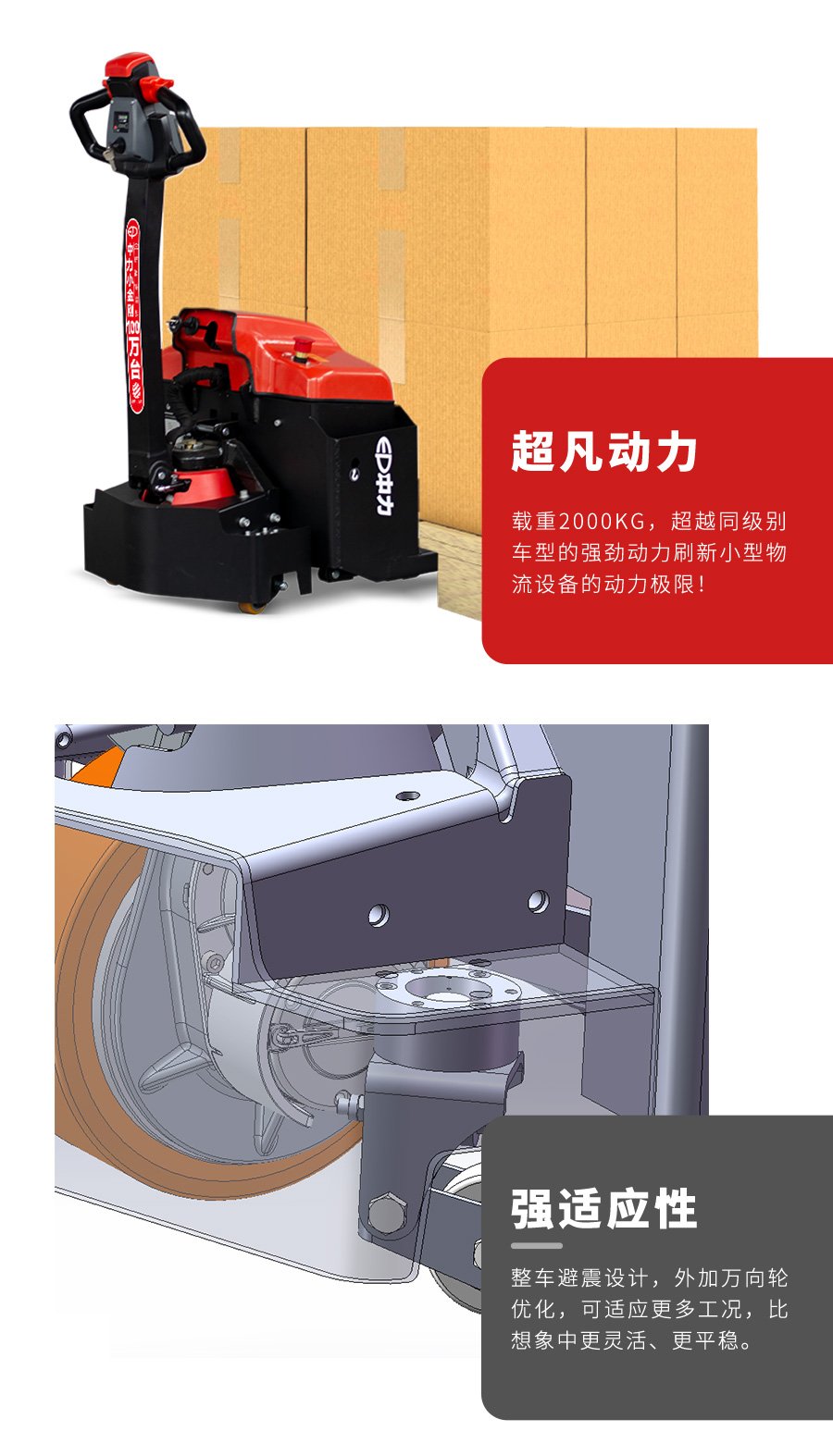 大金刚