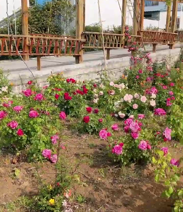 乳山市冯家镇敬老院