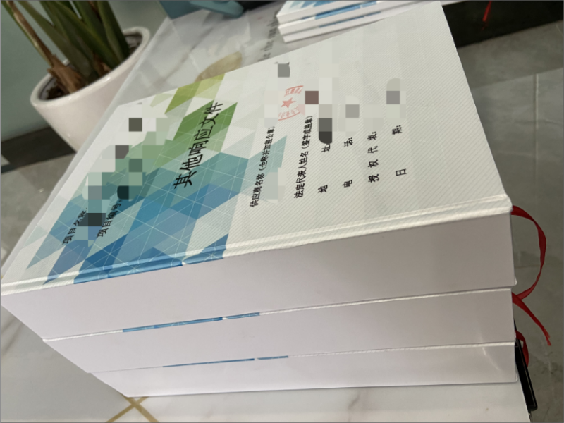 成都标书代写代做制作公司