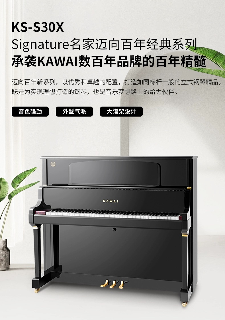 KS-S30X