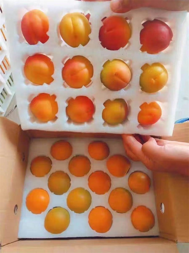 水果包装