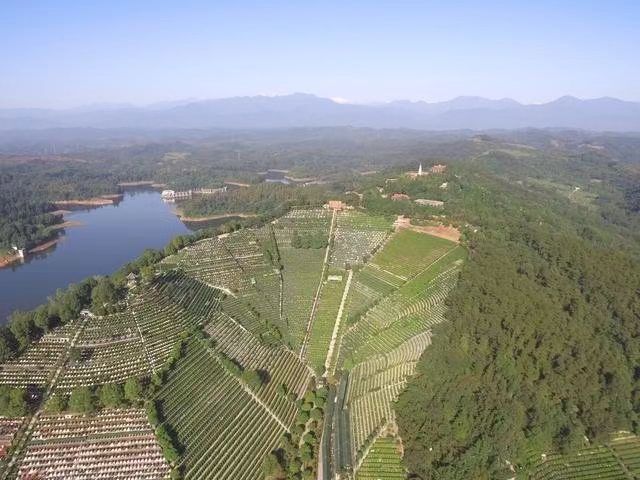 白塔山公墓