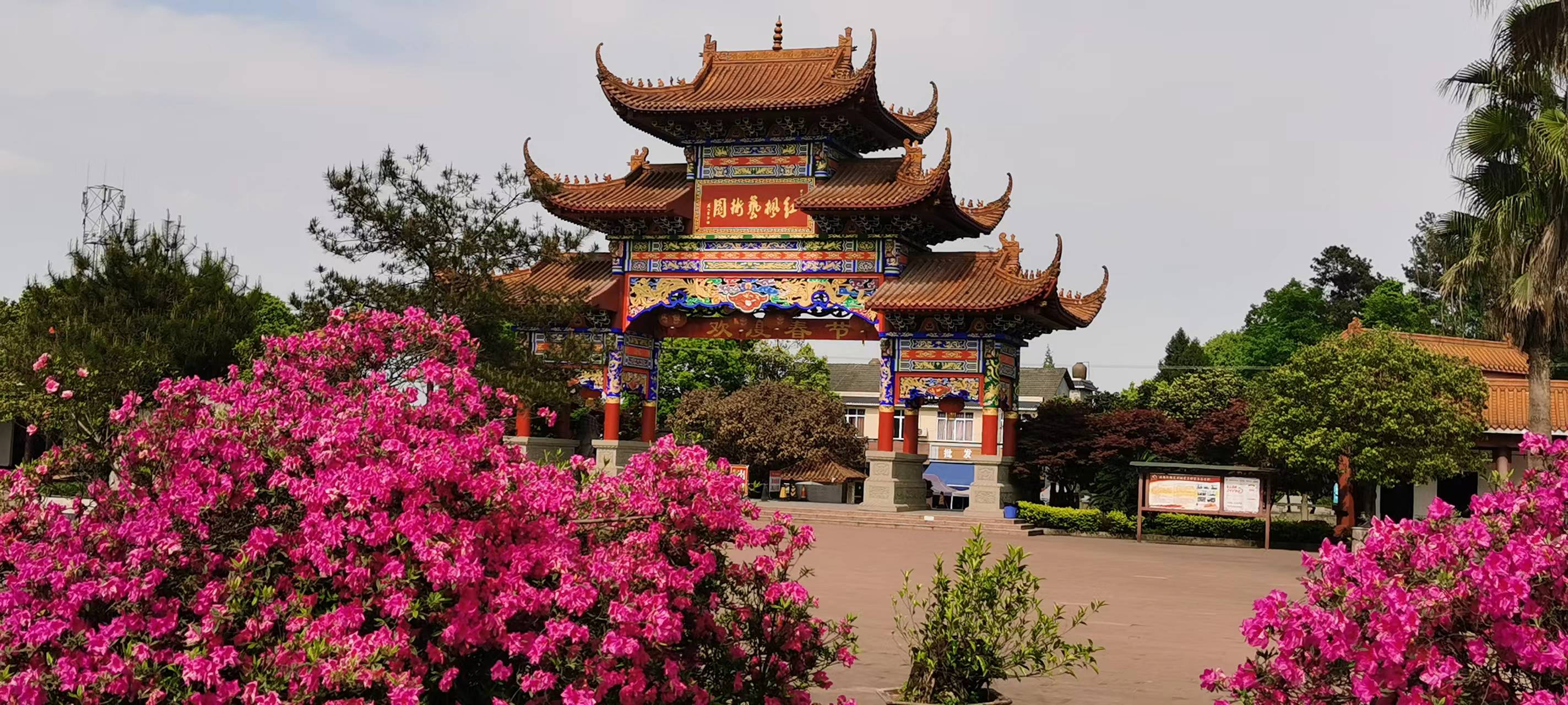 红枫艺术陵园