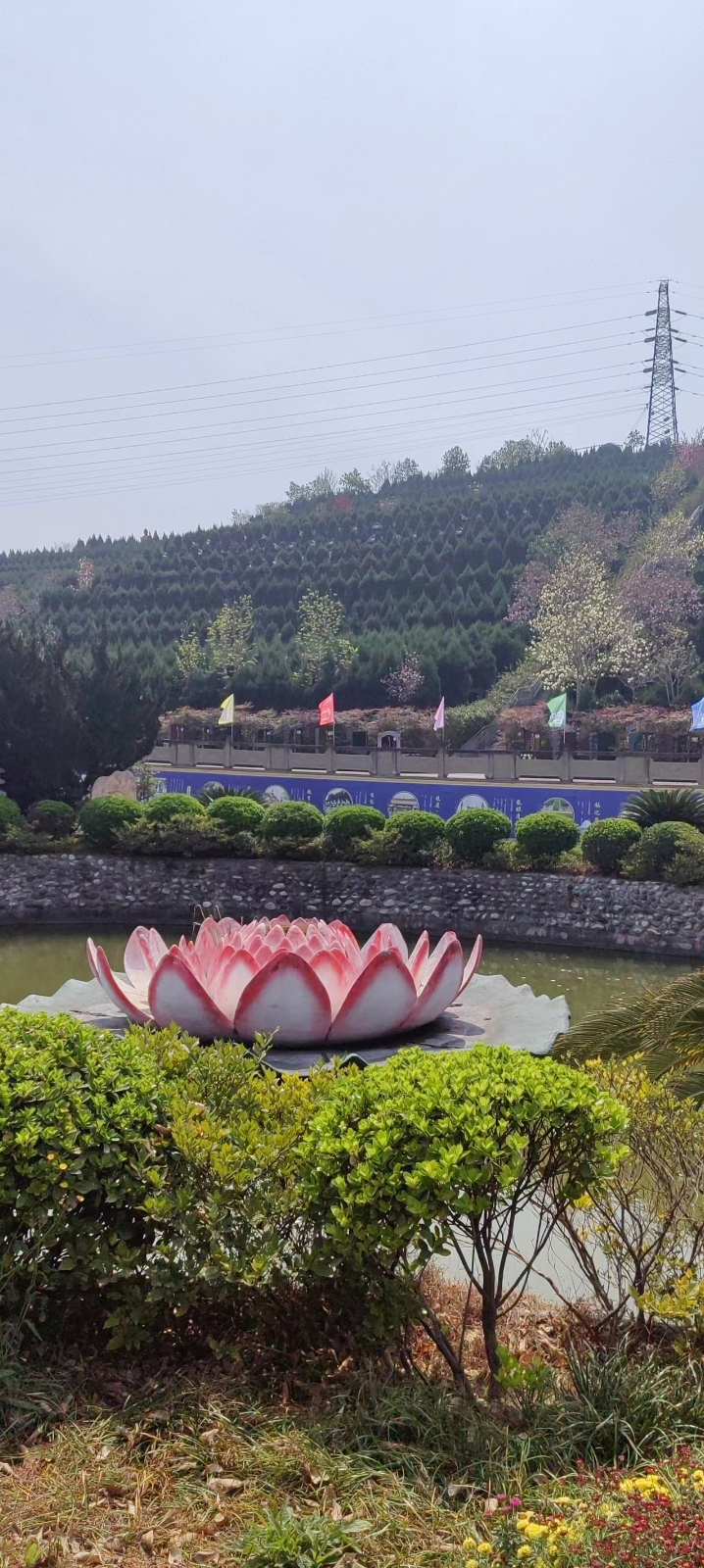 龙井公墓