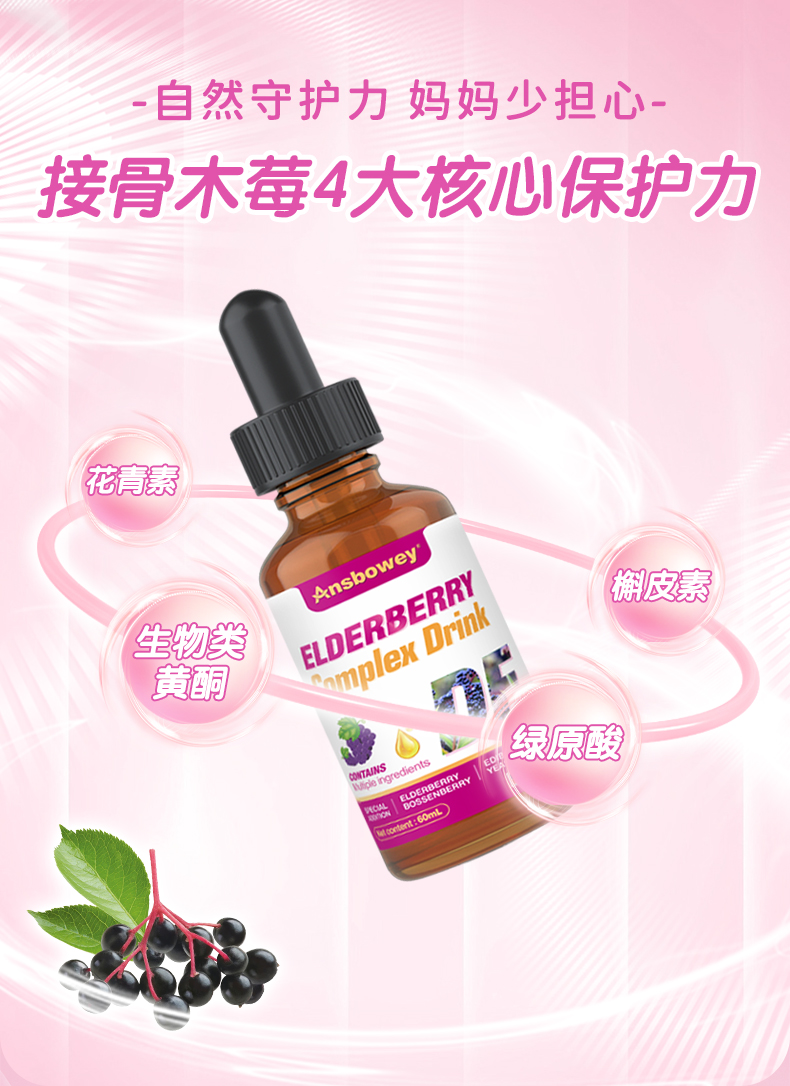 接骨木莓