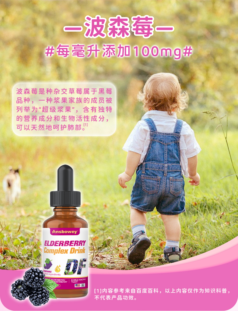 接骨木莓