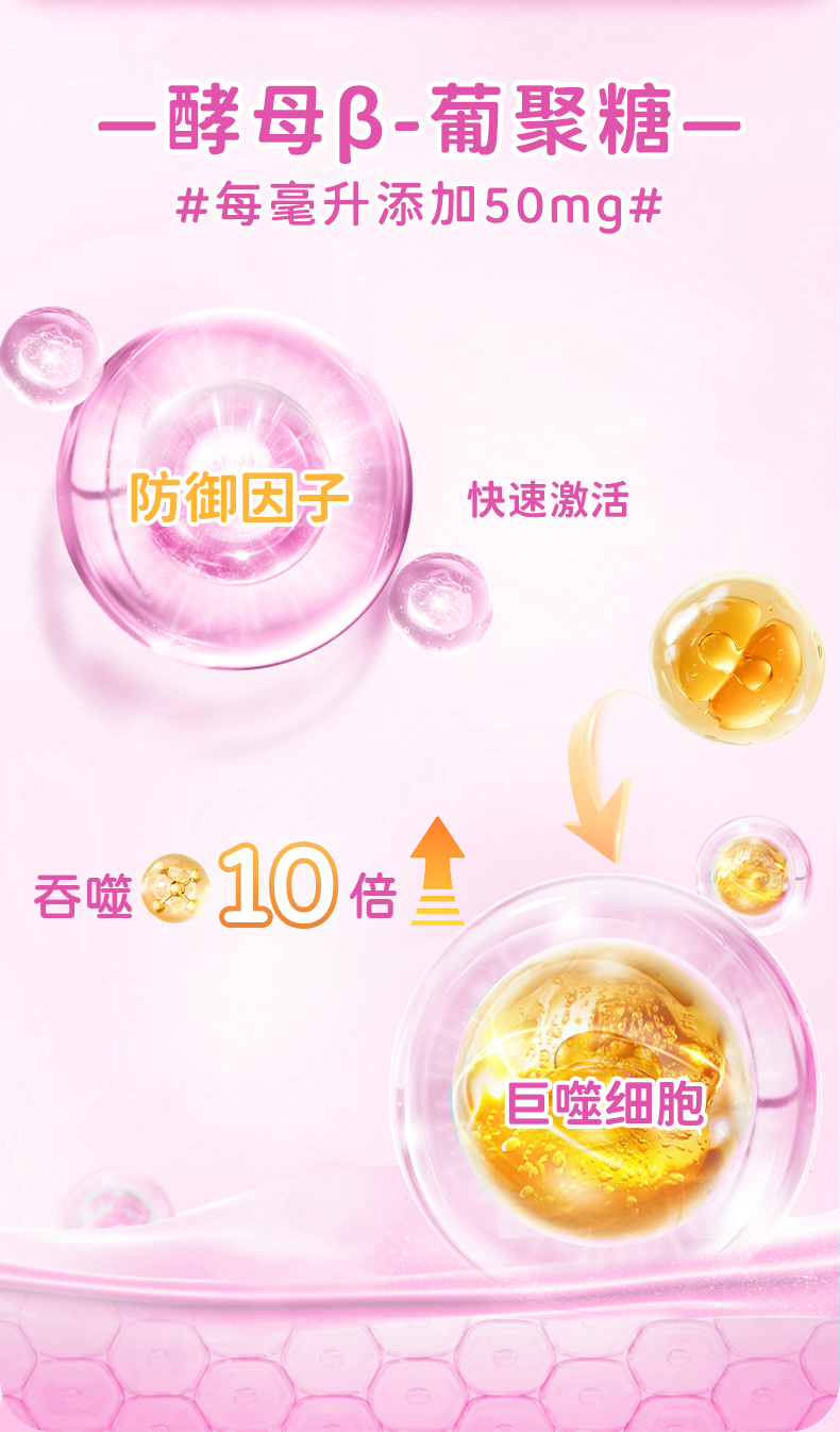 接骨木莓