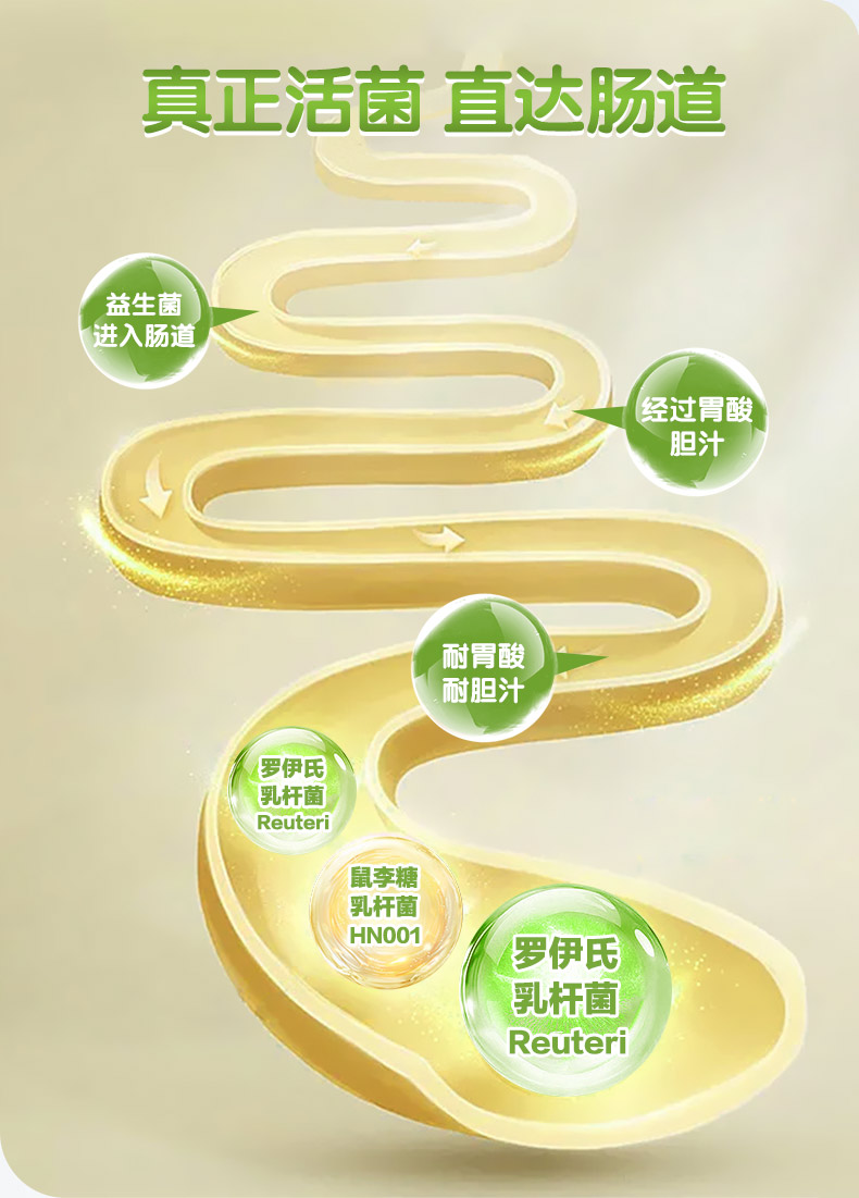 恩博维DH益生菌