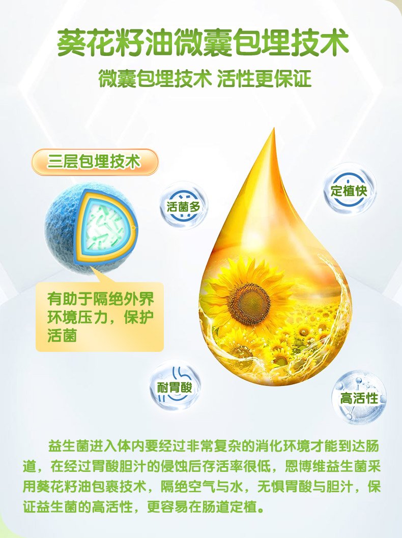 恩博维DH益生菌