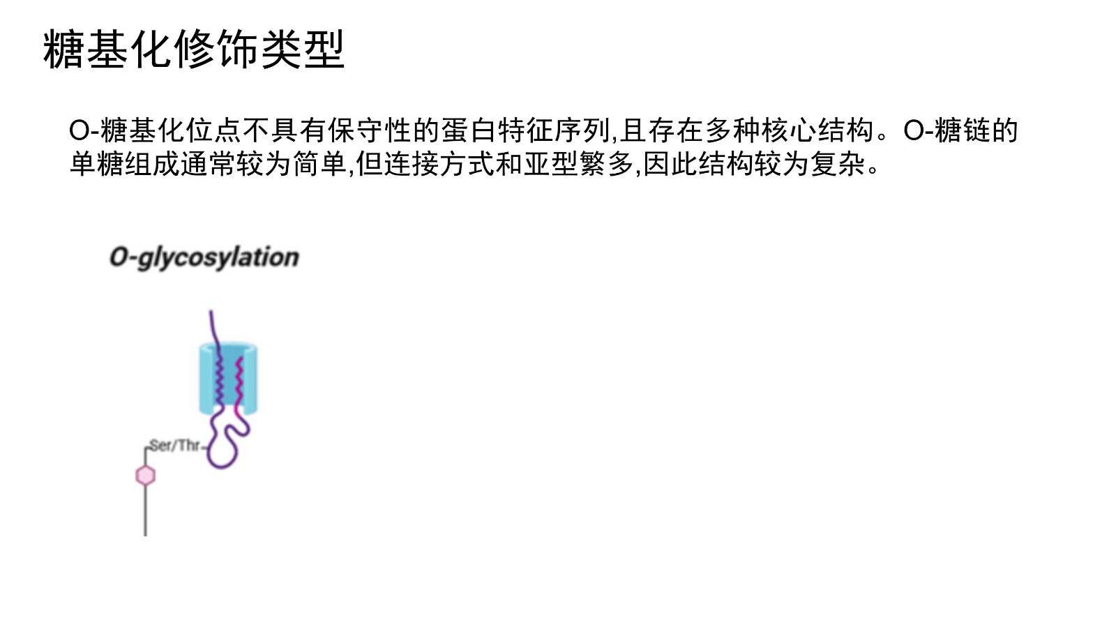 糖基化