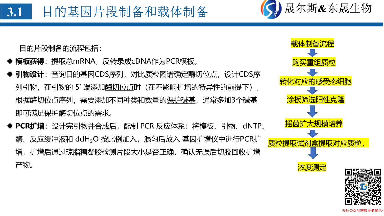 质粒
