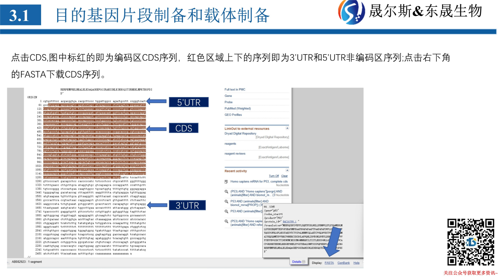 质粒