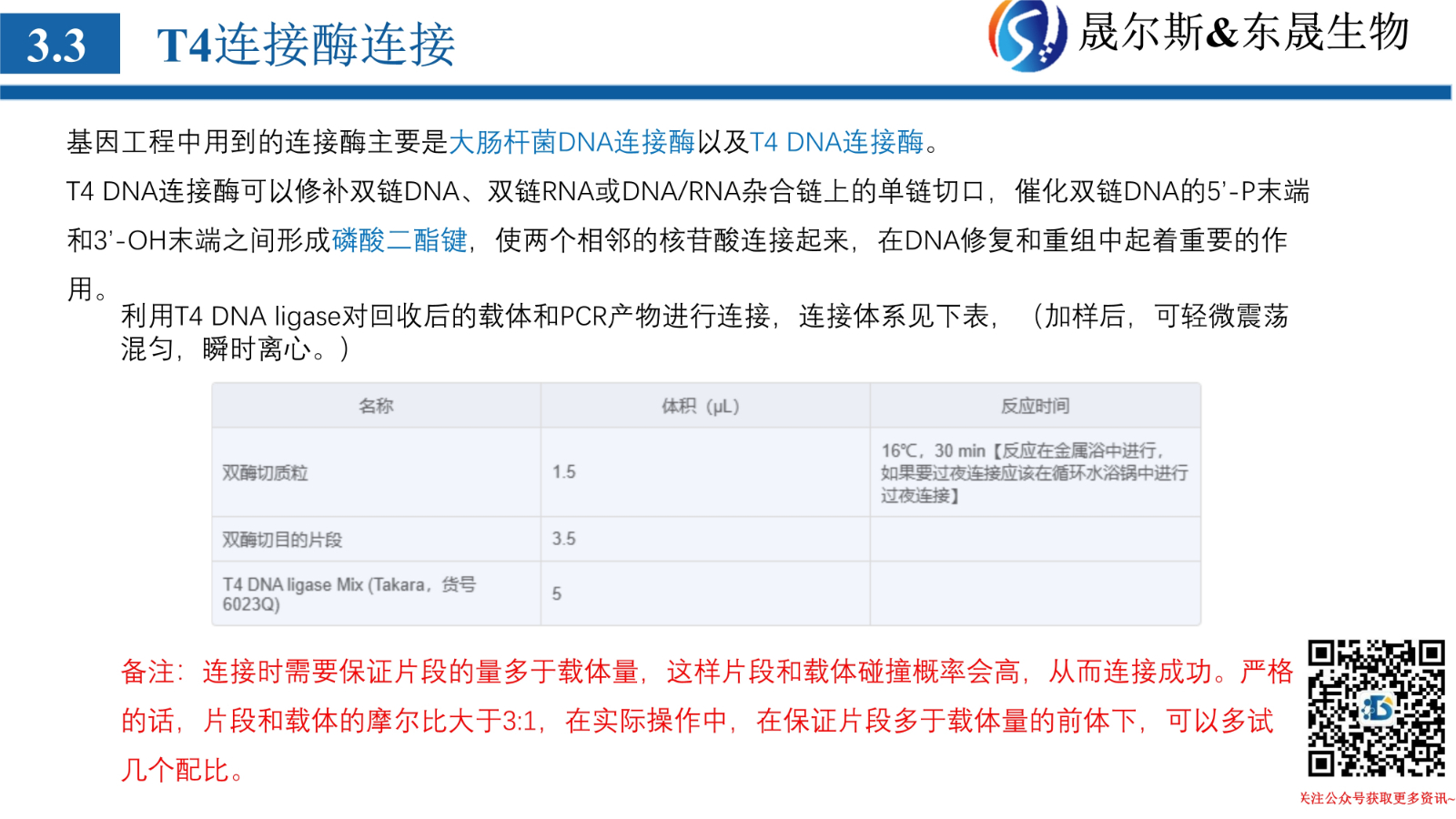 质粒