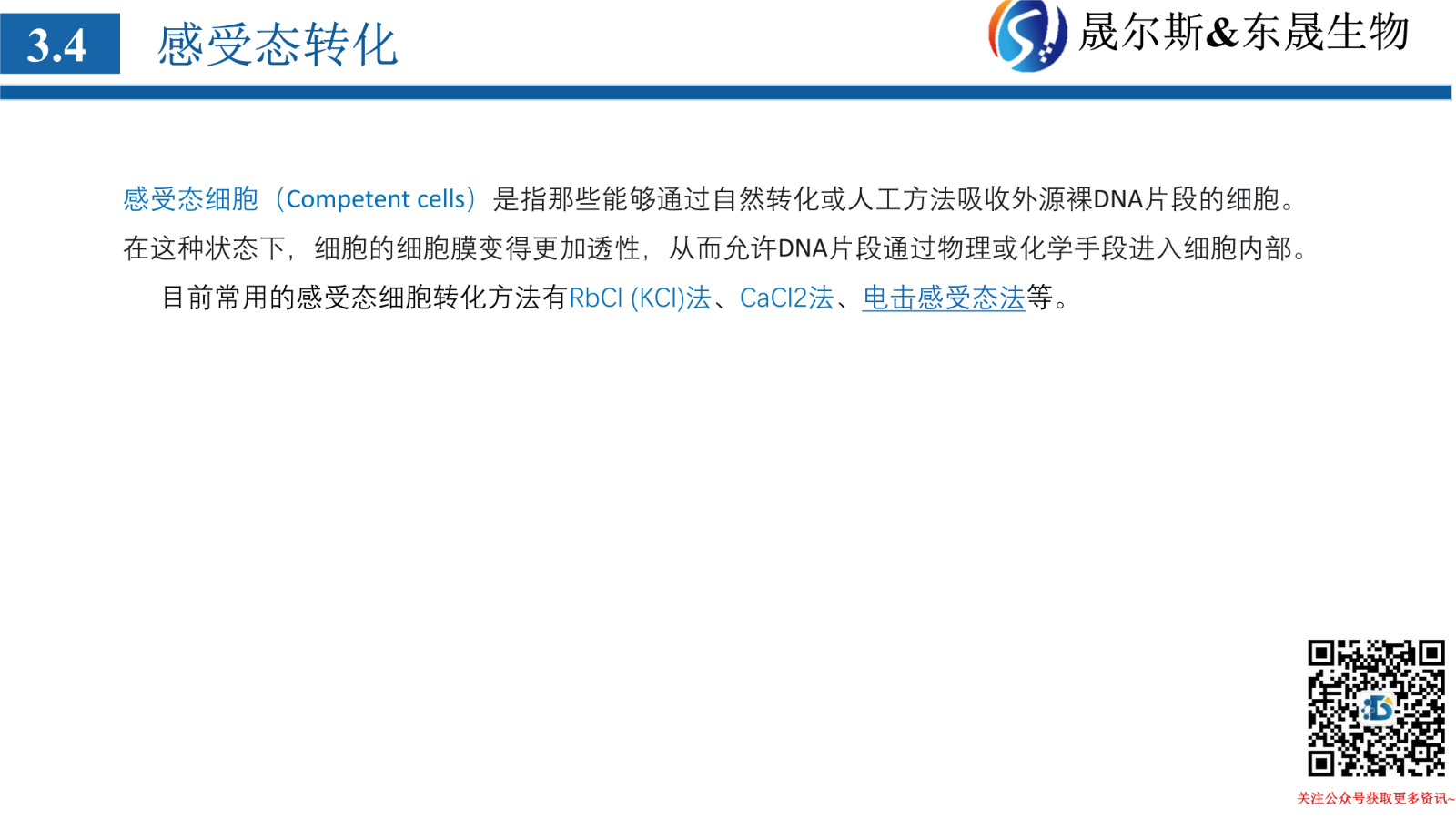 质粒