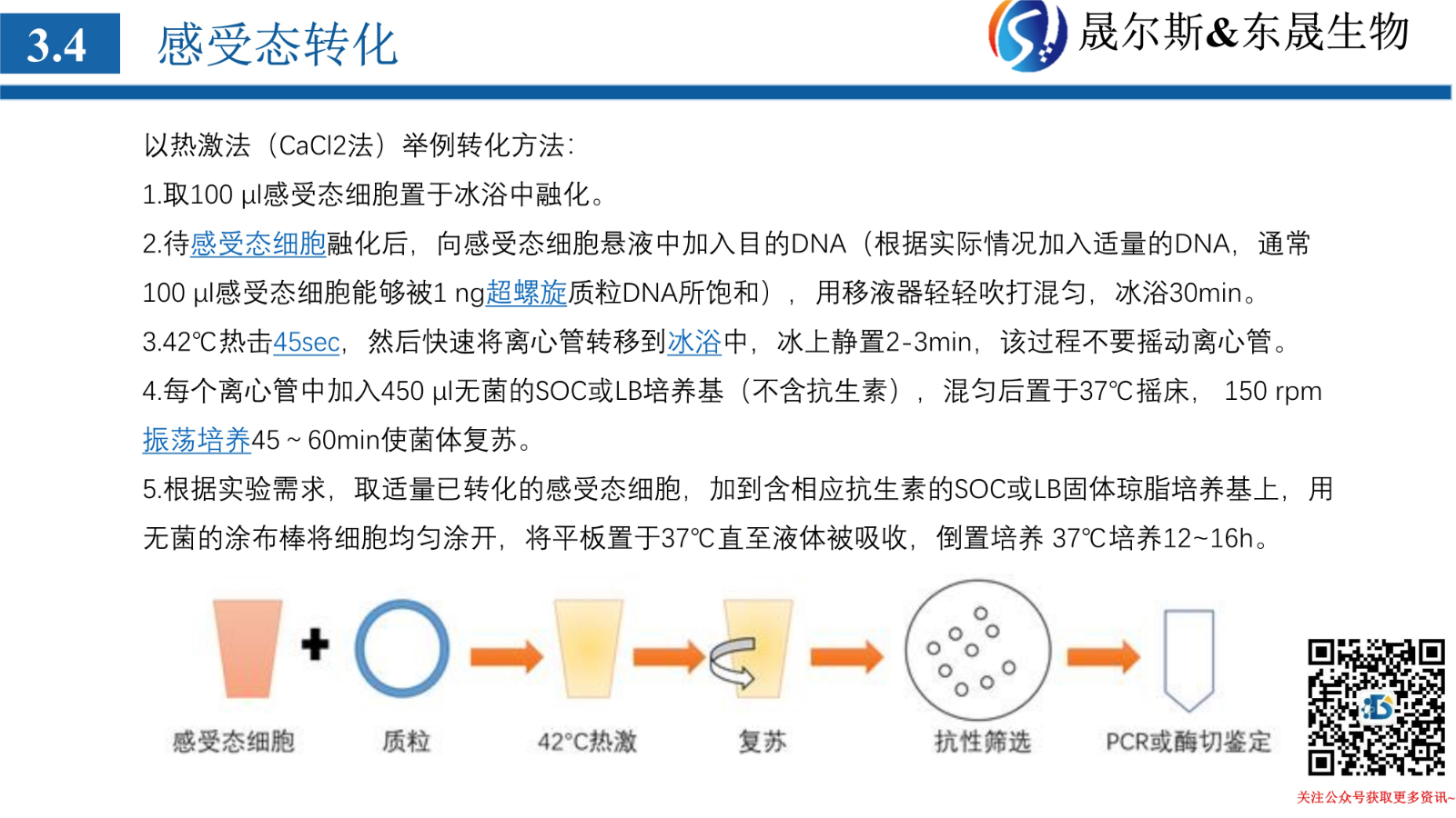 质粒