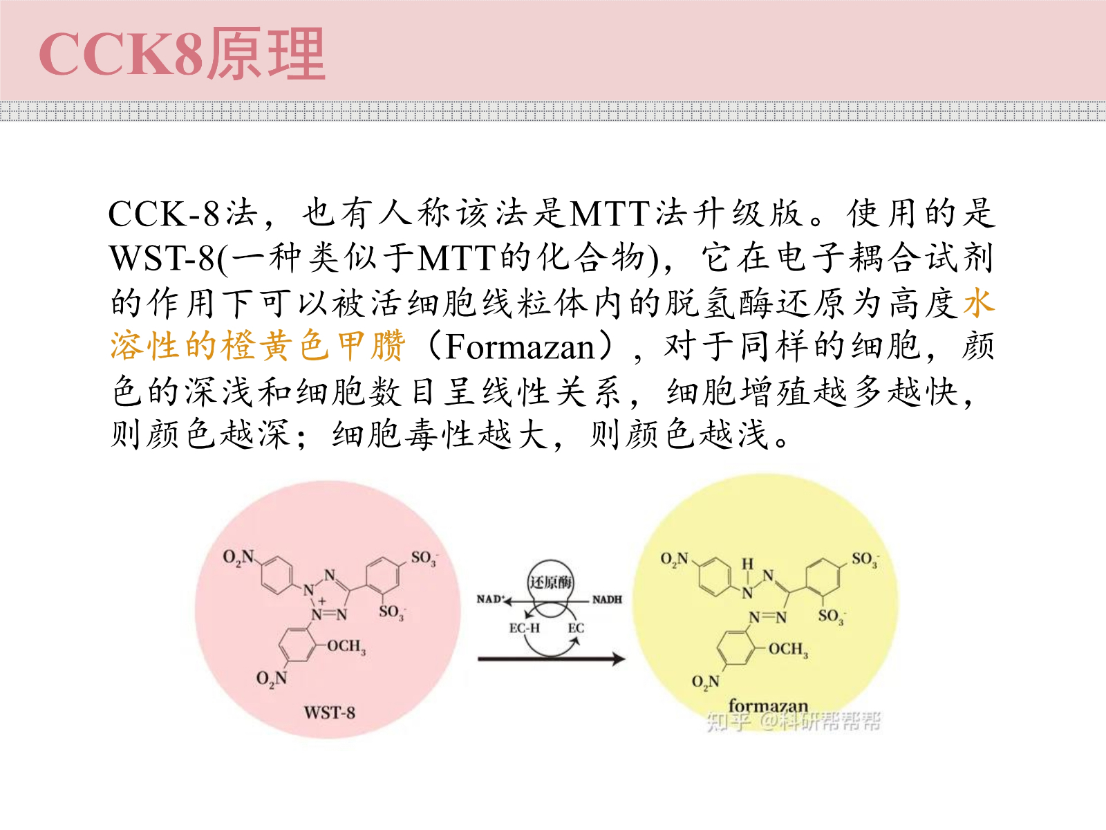 细胞