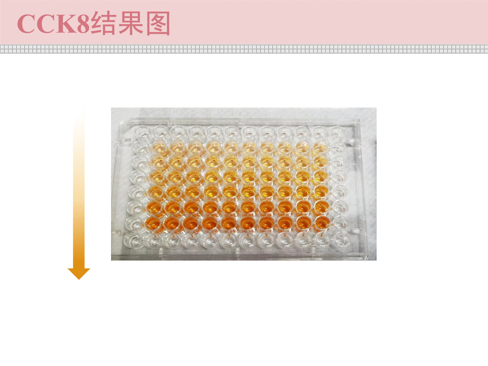 细胞