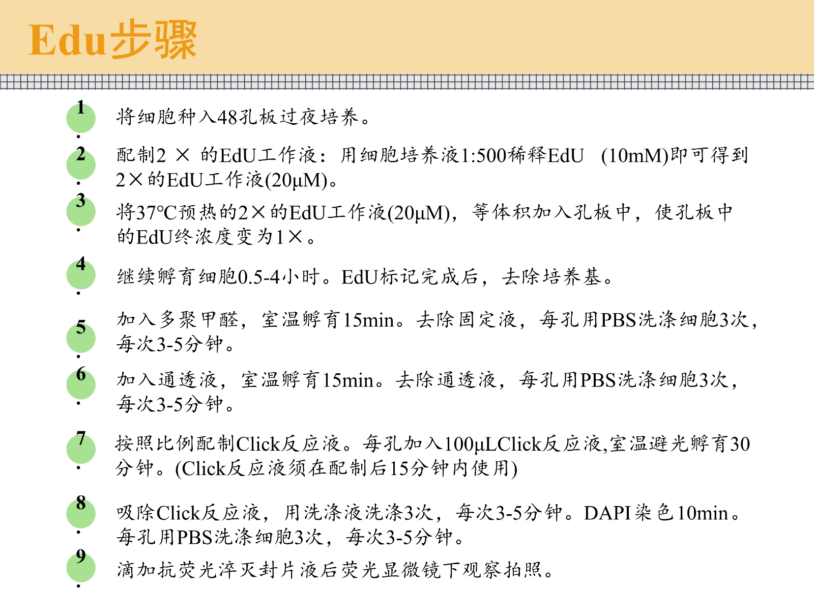 细胞