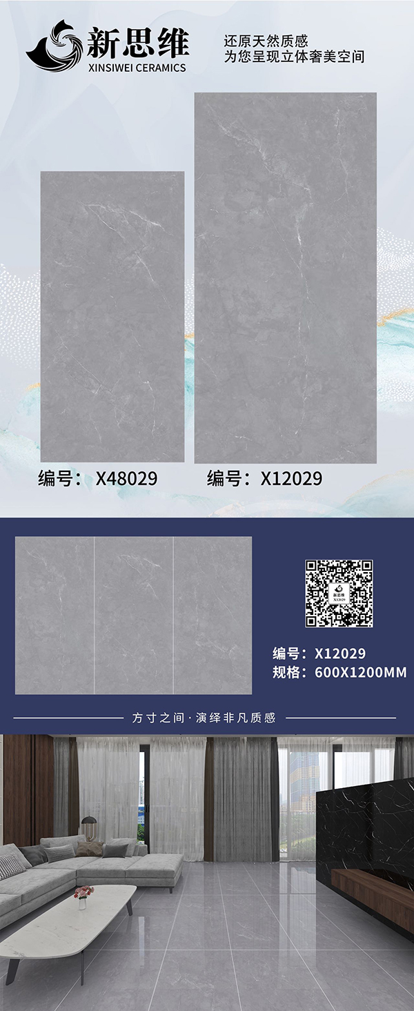 X12029